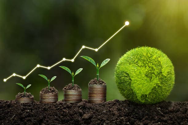 Exploring the Promise of Biopropane as a Sustainable Biofuel