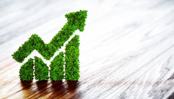Propane Surplus: A Paradigm Shift in U.S. Energy Markets
