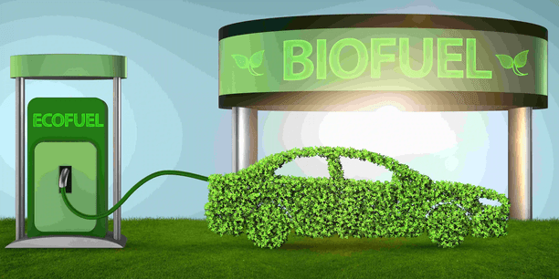 OPIS Index: Unveiling Clean Energy Costs