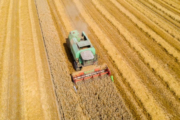 Propane-Powered Cold Storage: Transforming the Global Food Chain