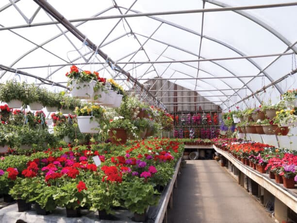 Propane-Powered Greenhouses