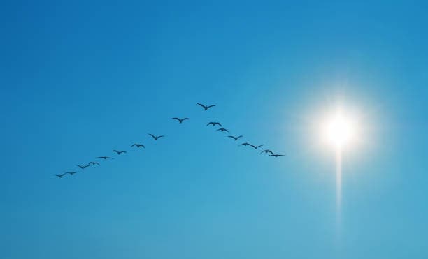Leadership Insights for Propane Business Owners
