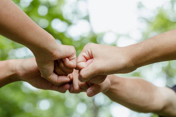 Leveraging Signature Programs for Business Growth