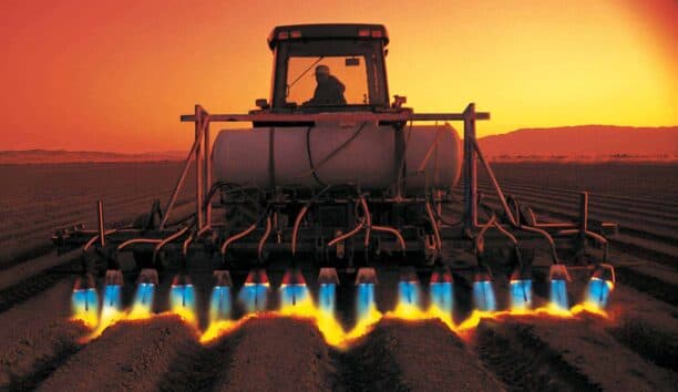Flame Weeding with Propane: A Smarter, Cleaner Way to Manage Fields
